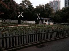 -晓港公园