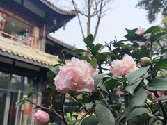 -大妙火锅·非物质文化遗产(东湖公园店)