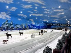 -世界之窗阿尔卑斯冰雪世界