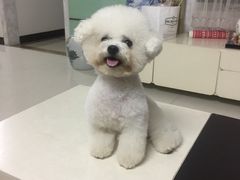 -芭比堂动物医院广州顽皮分院