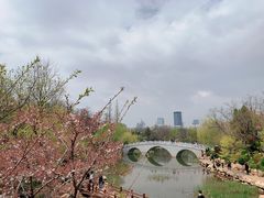 -大连植物园