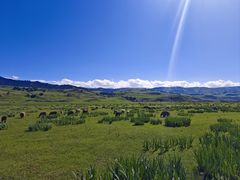 -新疆那拉提国家旅游度假区