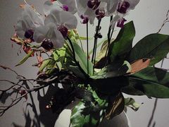 -苏帮袁·竹(北京坊店)