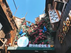 -香遇沙龙香水·调香·团建