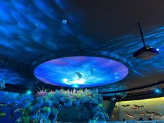 -陕西自然博物馆