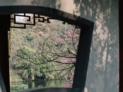 -重庆彩云湖湿地公园