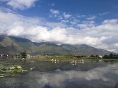 -大理洱源西湖景区
