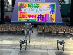 -黄兴南路步行商业街