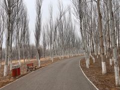 -东郊湿地公园