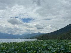 -西昌邛海湿地