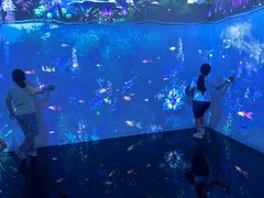 -中国湿地博物馆