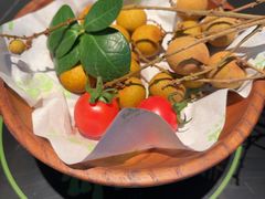 -季季山·云南野生菌火锅(上海首店)