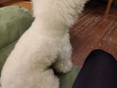 -默迹咖啡馆