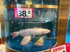 -蜀滋香鲜鱼美蛙火锅(339店)