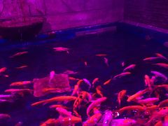 -梦幻海洋王国(吾悦广场张家港店)