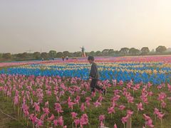 -上海都市菜园