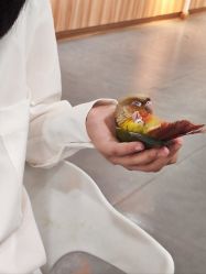 -Moni星球萌宠·小马宝莉·灵蛇·高端高阶全萌宠互动体验俱乐部(红豆国际广场店)
