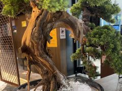 -湊湊火锅·茶憩(世博大道店)