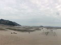 -北岐滩涂