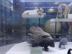 -国家自然博物馆