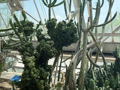 -南山植物园