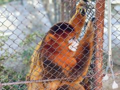 -哈尔滨北方森林动物园