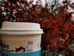 -茶颜悦色(岳麓山顶店)