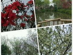 -南汇桃花村