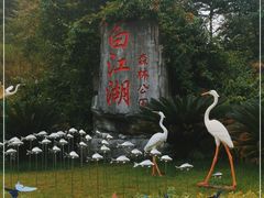 -广州白江湖森林公园