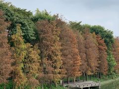-顺峰山公园