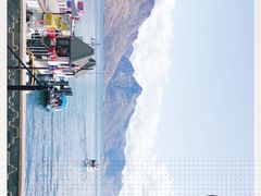 -Patagonia Chocolates(皇后镇店)