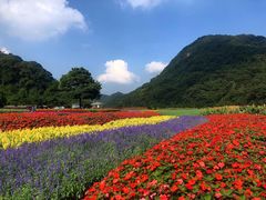 -广州市石门国家森林公园