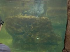 -福州罗源湾海洋世界旅游区