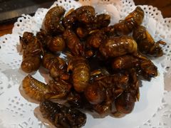 -海拉尔碳烤羊腿烤鸽子(吕营店)