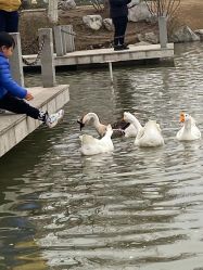 -玄武湖景区-情侣园游乐场