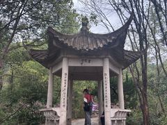 -天台山赤城山景区