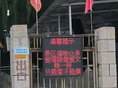 -四门塔风景区