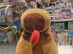 -万达广场(扬州邗江店)