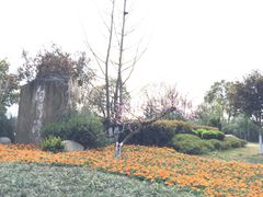 -白鹭湾湿地公园