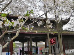 -堤角公园