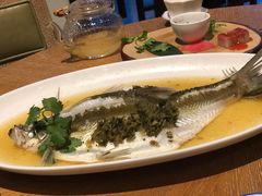 -宁波柏悦酒店·钱湖渔港