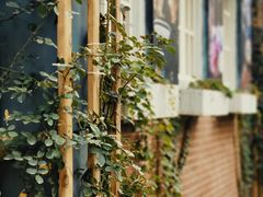 -西安电影制片厂