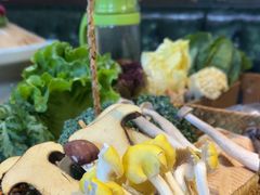 -手选潮汕鲜活牛肉火锅(二七广场店)