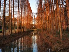 -金岛生态园烧烤露营地