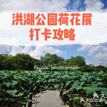 攻略丨深圳洪湖公园荷花展打卡攻略