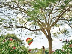 -中国科学院西双版纳热带植物园