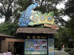 -广州长隆飞鸟乐园
