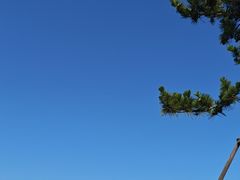 -小麦岛公园