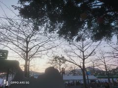 -盈香心动乐园