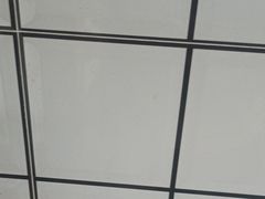 -天鹅到家·保姆月嫂育儿嫂(天河店)